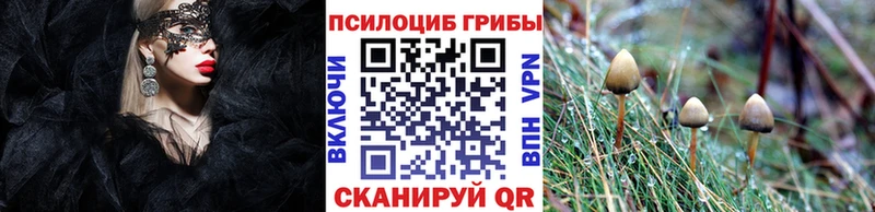 где найти Нахабино KRAKEN рабочий сайт Псилоцибиновые грибы мицелий